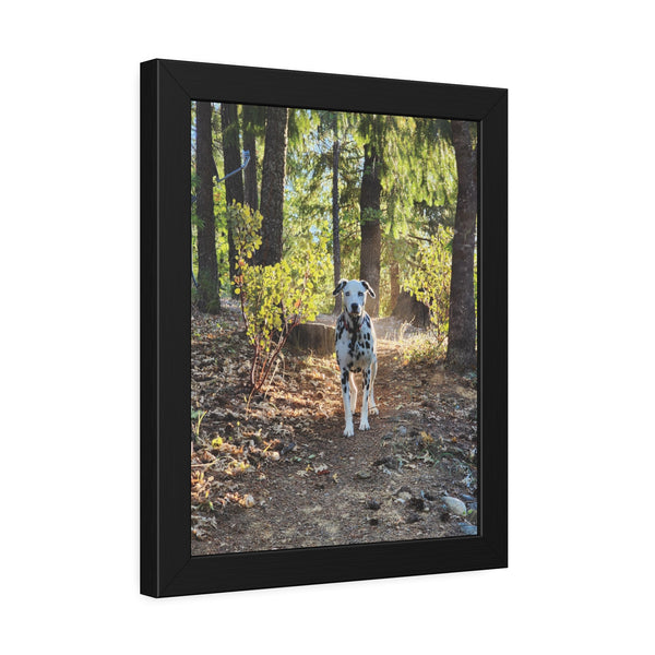 In-the-Woods Framed Paper Posters