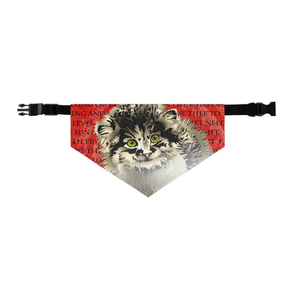 Pallas Cat Pet Bandana Collar