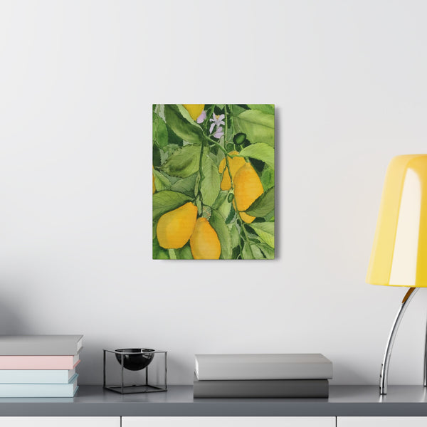 Watercolor Lemons Canvas Gallery Wraps