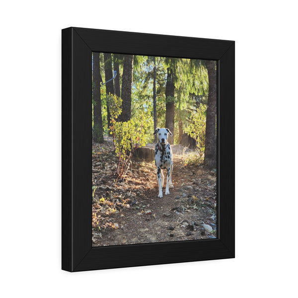 In-the-Woods Framed Paper Posters