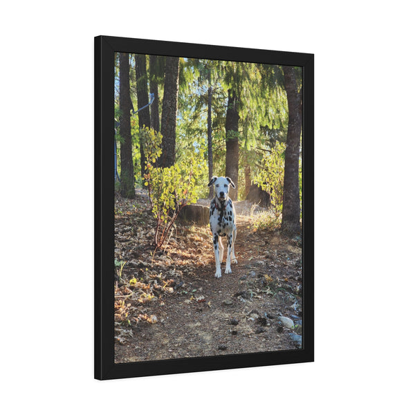 In-the-Woods Framed Paper Posters