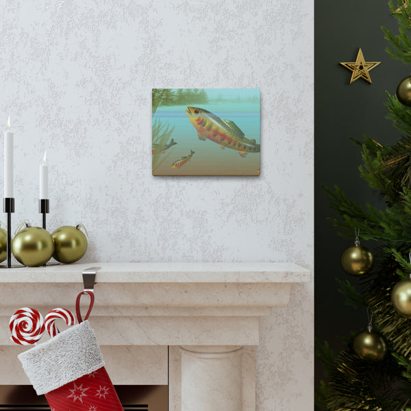 Golden Trout Canvas Gallery Wraps
