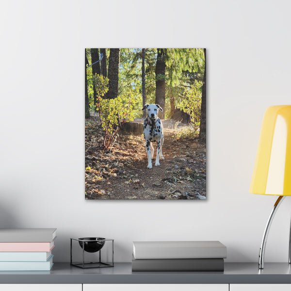 In-the-Woods Canvas Gallery Wraps