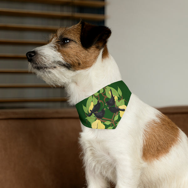 Four Colly Birds of Christmas Pet Bandana Collar