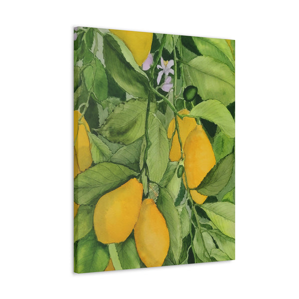 Watercolor Lemons Canvas Gallery Wraps