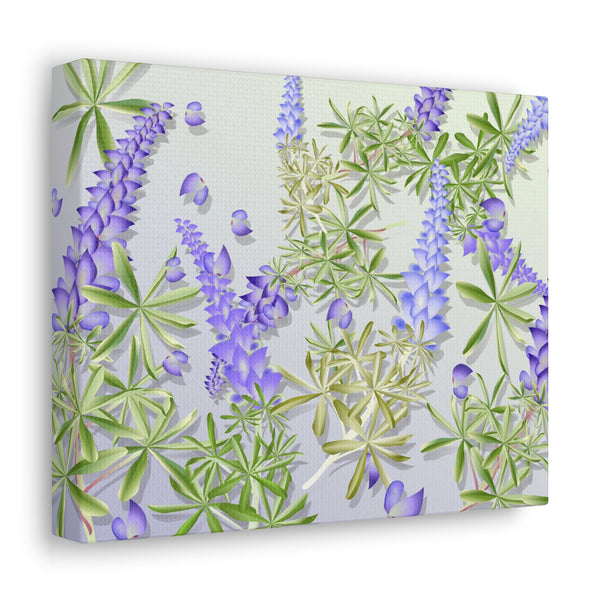 Blue Bonnet Lupins Gallery Wraps