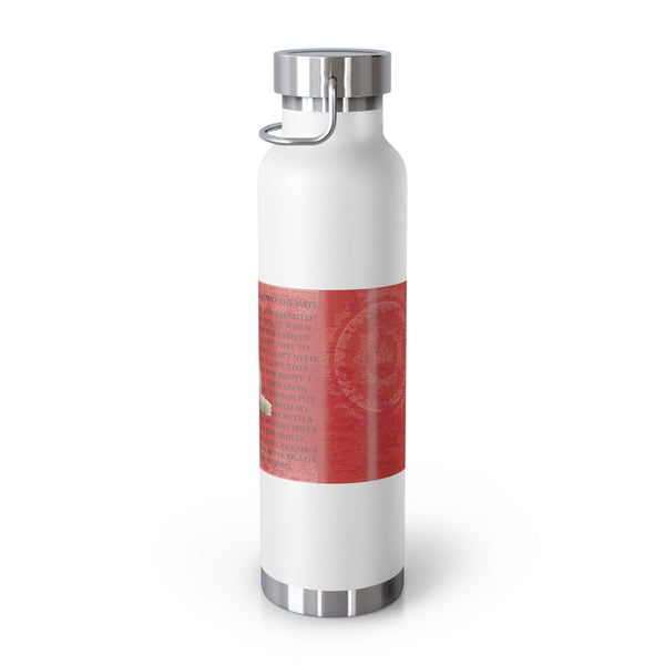 Love Cat Copper Vacuum Insulated Bottle, 22oz