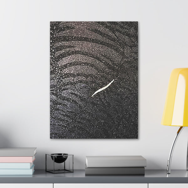 Dragon Study   Canvas Gallery Wraps