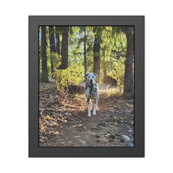 In-the-Woods Framed Paper Posters