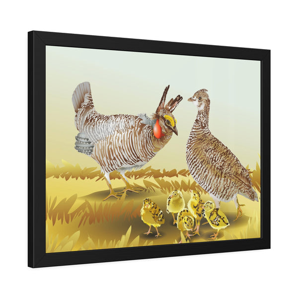 Prairie Chickens Framed Paper Posters