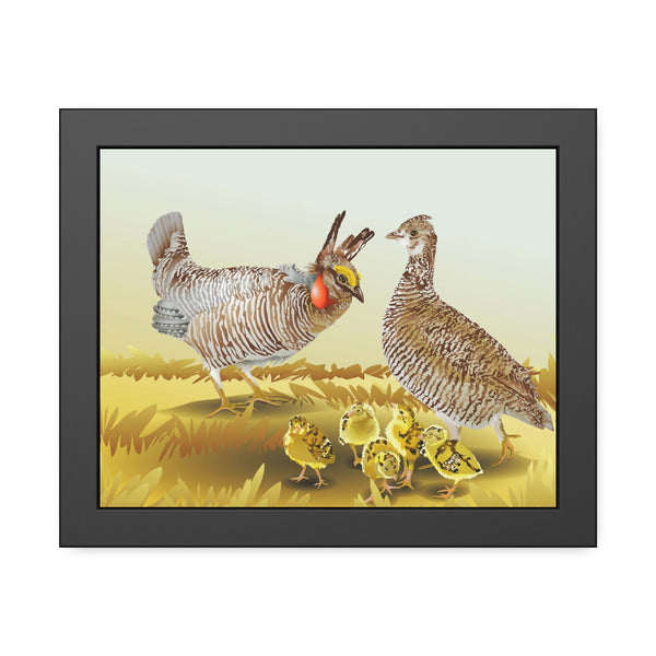 Prairie Chickens Framed Paper Posters
