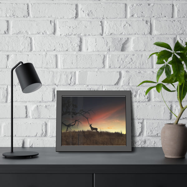 Deer at Sunrise Framed Paper Posters