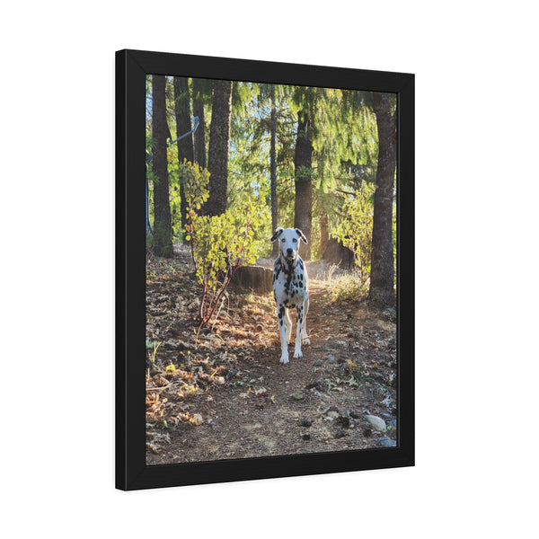In-the-Woods Framed Paper Posters