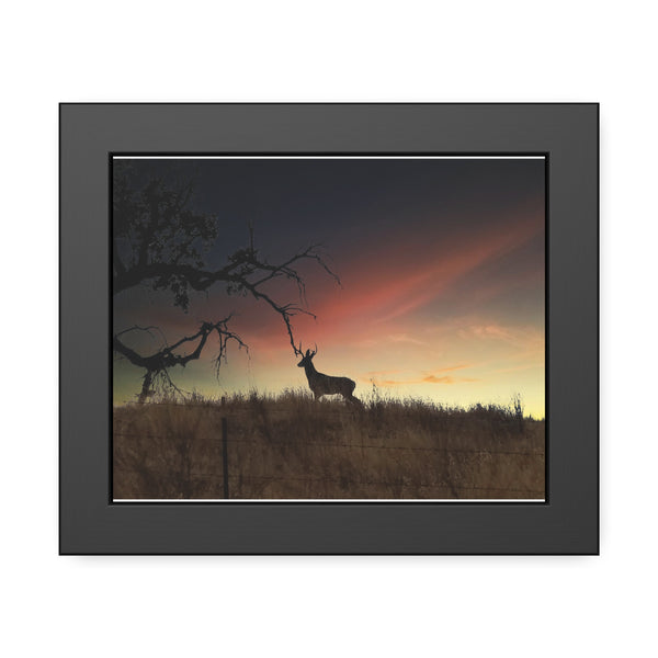 Deer at Sunrise Framed Paper Posters
