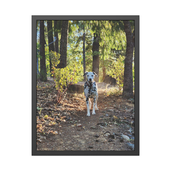 In-the-Woods Framed Paper Posters