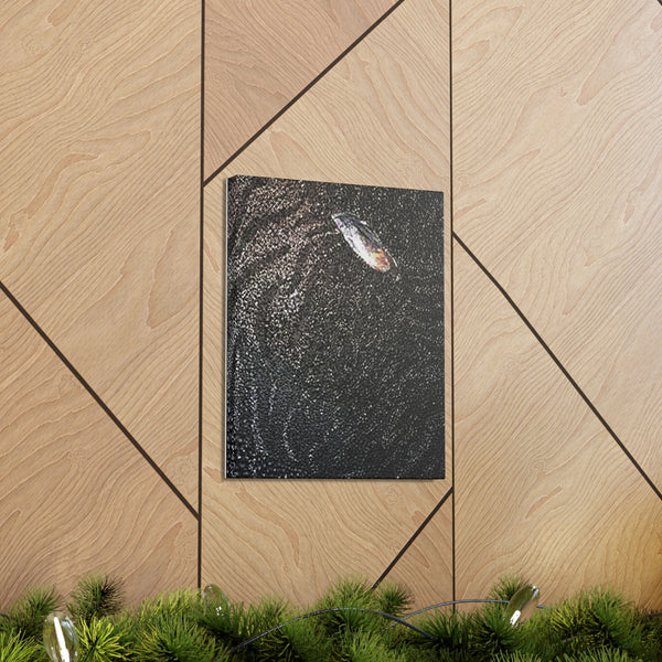 Dragon Study 2  Canvas Gallery Wraps