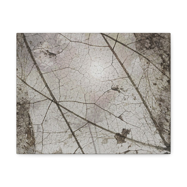 Be Strong Photo Canvas Gallery Wraps