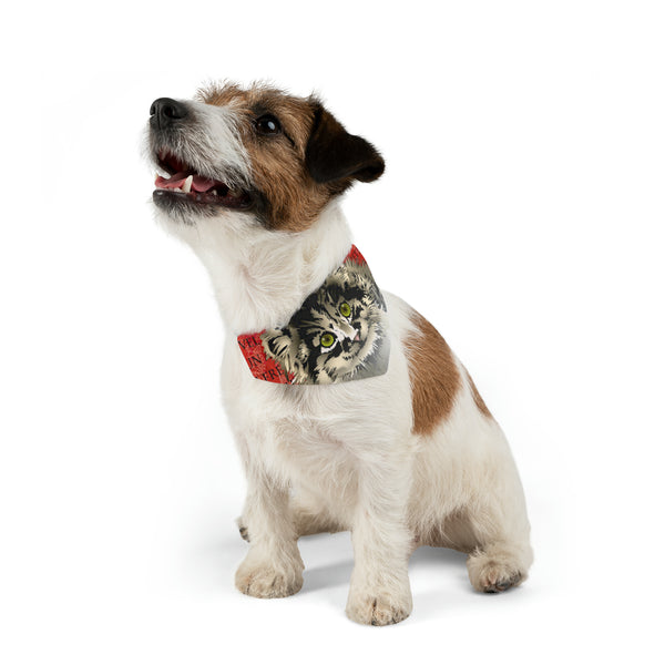 Pallas Cat Pet Bandana Collar