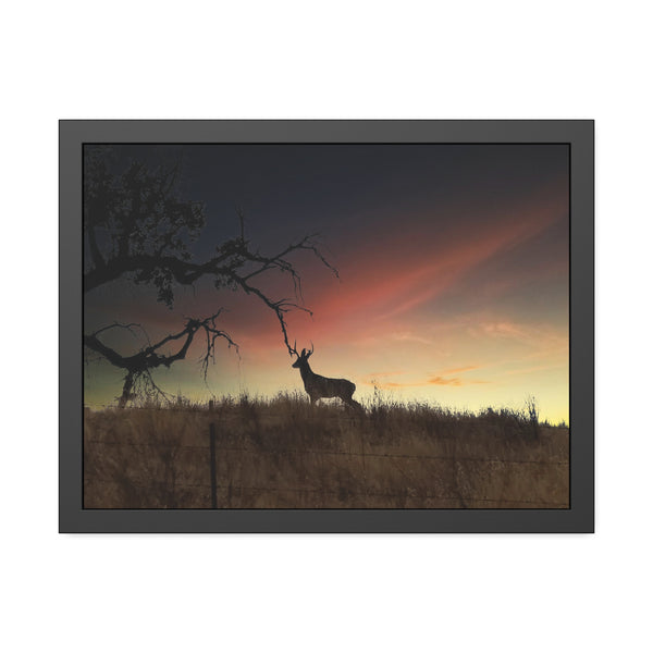 Deer at Sunrise Framed Paper Posters