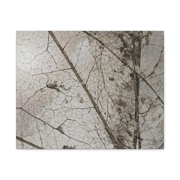 Be Strong Photo Canvas Gallery Wraps