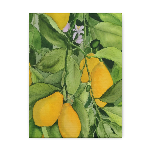 Watercolor Lemons Canvas Gallery Wraps