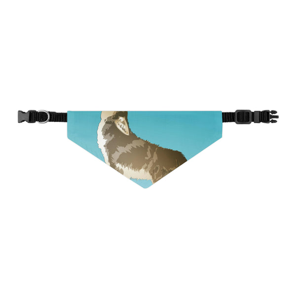 Coyote Pet Bandana Collar