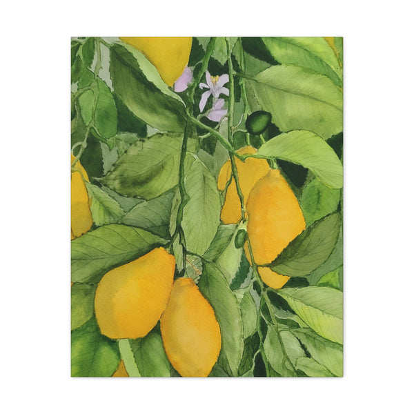 Watercolor Lemons Canvas Gallery Wraps