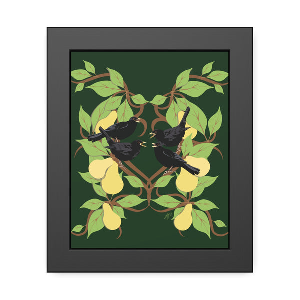 Four Colly Birds Framed Paper Posters