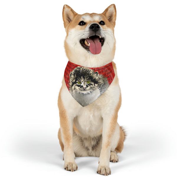 Pallas Cat Pet Bandana Collar