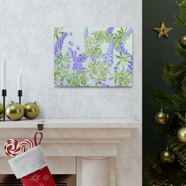 Blue Bonnet Lupins Gallery Wraps