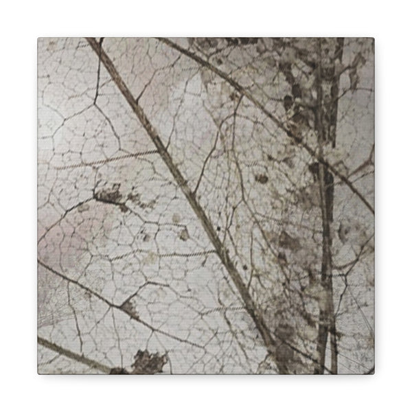 Be Strong Photo Canvas Gallery Wraps