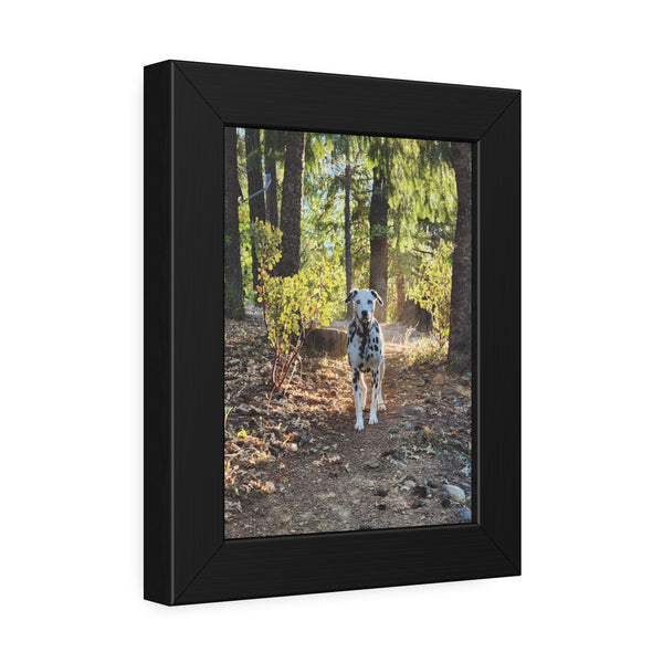 In-the-Woods Framed Paper Posters