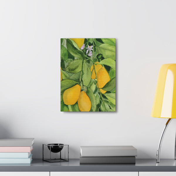Watercolor Lemons Canvas Gallery Wraps