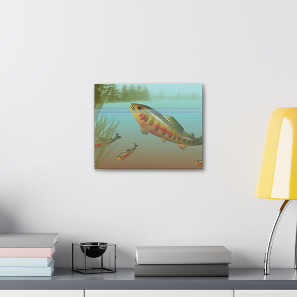 Golden Trout Canvas Gallery Wraps