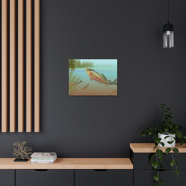 Golden Trout Canvas Gallery Wraps
