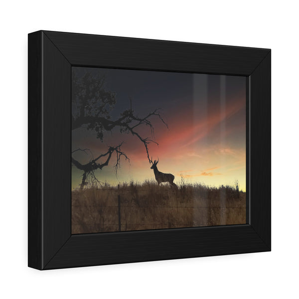 Deer at Sunrise Framed Paper Posters