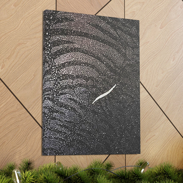 Dragon Study   Canvas Gallery Wraps