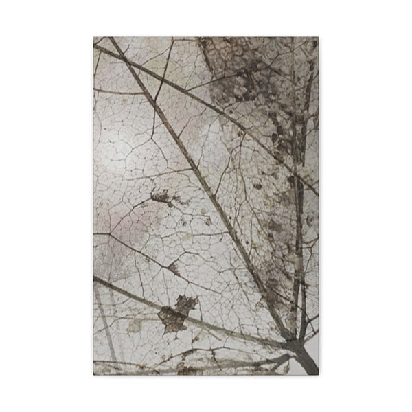 Be Strong Photo Canvas Gallery Wraps