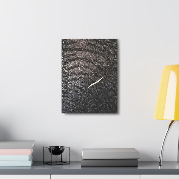 Dragon Study   Canvas Gallery Wraps