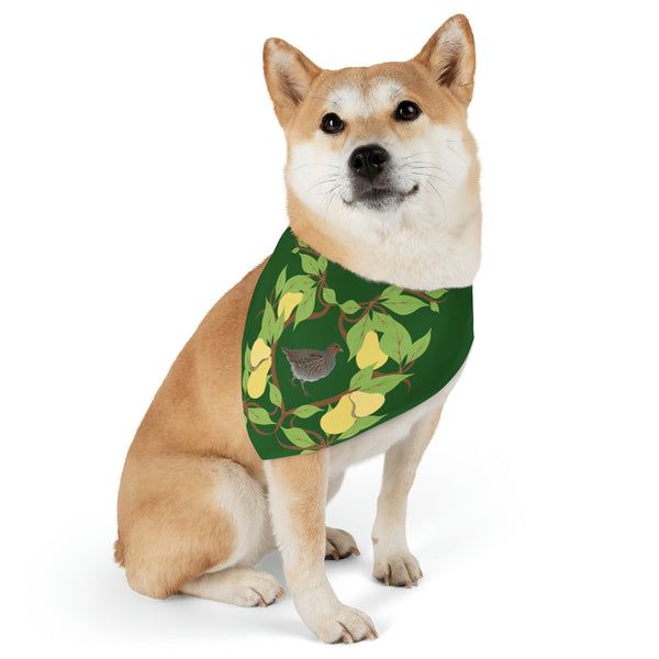 Partridge in a Pear Tree Pet Bandana Collar