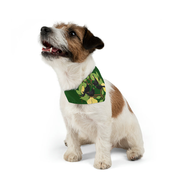 Four Colly Birds of Christmas Pet Bandana Collar