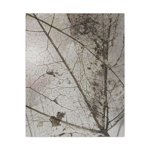 Be Strong Photo Canvas Gallery Wraps