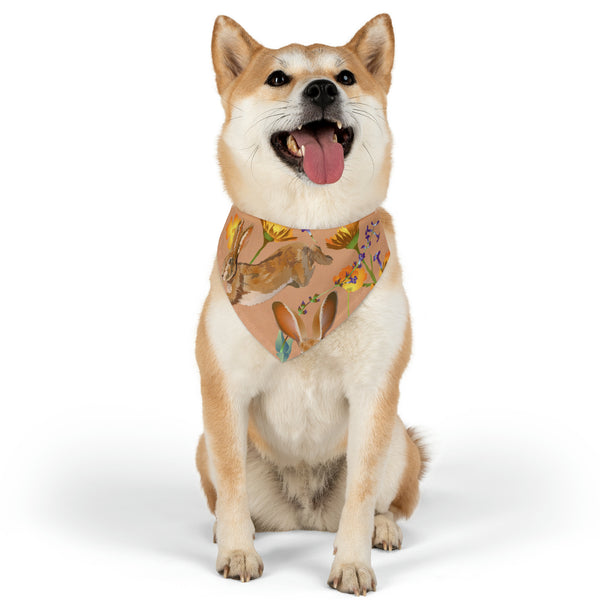 Jack Rabbit Pet Bandana Collar