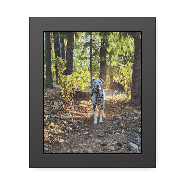 In-the-Woods Framed Paper Posters