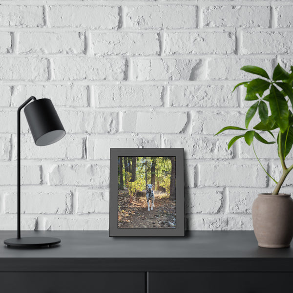 In-the-Woods Framed Paper Posters