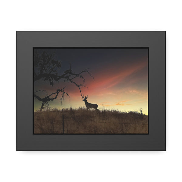 Deer at Sunrise Framed Paper Posters