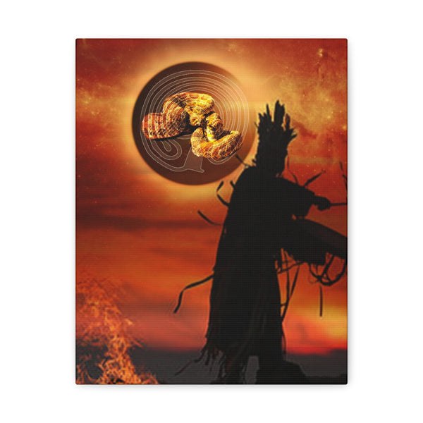 Snake Shaman Canvas Gallery Wraps