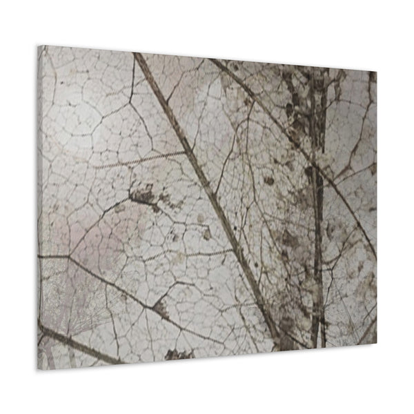 Be Strong Photo Canvas Gallery Wraps