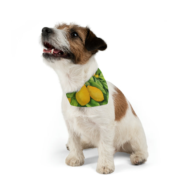 Lemons Pet Bandana Collar