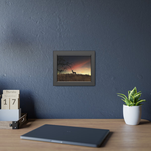 Deer at Sunrise Framed Paper Posters